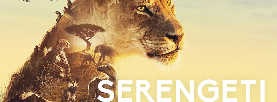 Résultat de recherche d'images pour ""Serengeti" (John Downer Productions photos"